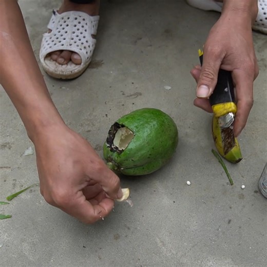 Phần 5 của US Europe Viral Gardening Papaya Banana High-Yield Method | H&H Balcony & Garden