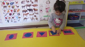 Babies Resort Nursery on Reels