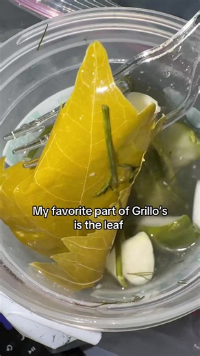 Best Pickles in the World: Grillo’s Pickles Review