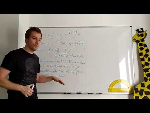 L3 : Résolution d'une équation différentielle de Bernoulli