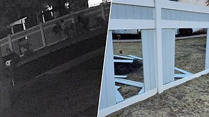 'Kool-Aid Man' challenge: Video shows N.Y. kids break through fences