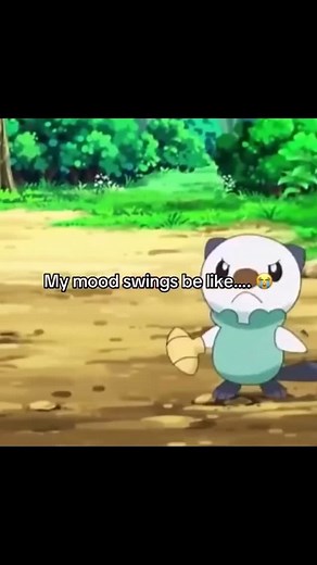 Banjo on Instagram: "Oshawott got mad anger issues damn 😳👋 • • • • • • #pokemoncommunity #banjotcg #cardcollector #oshawott #surgingsparks #tcgplayer #pokemonmemes #pokemon #vintagecards"