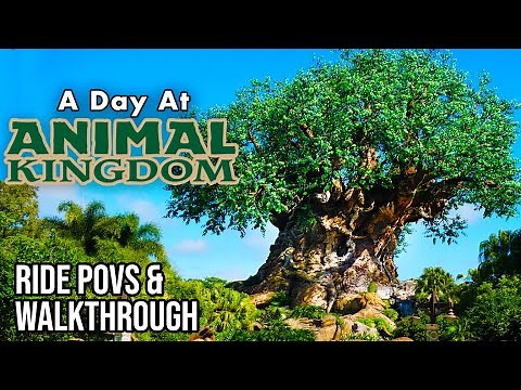 A Day at Disney's Animal Kingdom: Disney Rides & Walkthrough [4K POV]