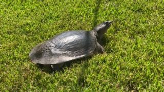 23K views · 325 reactions | This gal is diggin’ with purpose!...