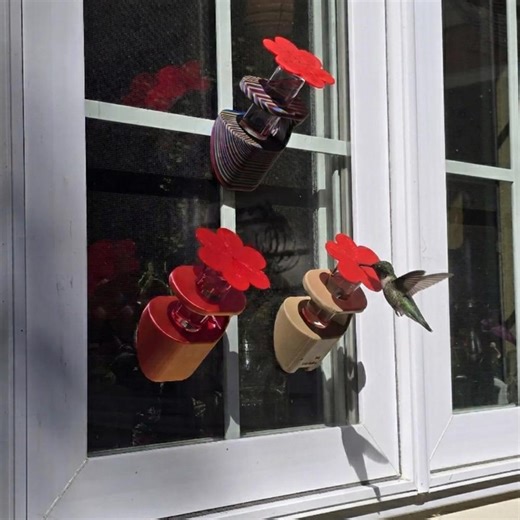 Hummingbird Window Feeder, Reclaimed Poly, USA Made, Multiple Colors - Etsy