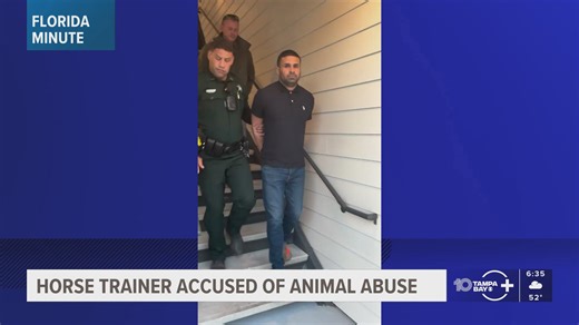 Horse trainer in Marion County accused of animal abuse