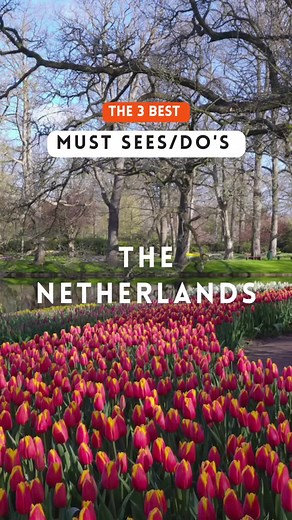 Must sees/do’s in The Netherlands! Save for later!✨ #traveltips #travelguide #traveltiktok #thenetherlands #summer #summer2023 #mustdo #mustsee