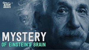 When Albert Einstein passed away at Princeton Hospital in 1955, the pathologist, Dr. Thomas Harvey, did the unthinkable - He STOLE Einstein's brain! For more details, read our blog: http://bit.ly/EinsteinsStolenBrain | Ripley's Believe It or Not!