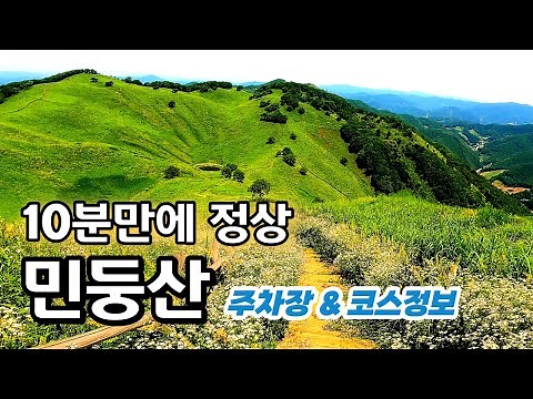 걸어서 10분 민둥산 최단코스 _ 풀꽃으로 가득한 민둥산을 걸어보세요 _ 고병계곡