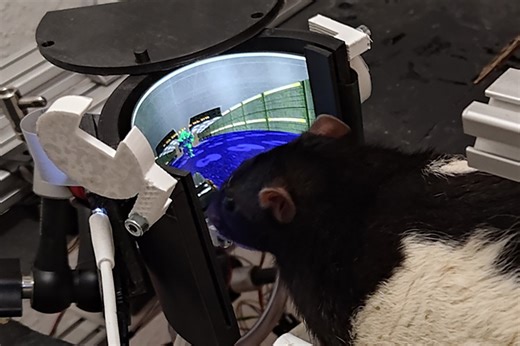 Rats Master the Art of Slaying Demons in DOOM