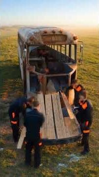 They Turned an Abandoned Bus Into a Dream Home 😱 Absolutely Genius #satisfying #trasformation