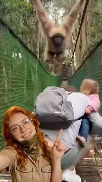 This Monkey Just Doesn't Care..