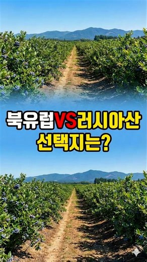 북유럽산 vs 러시아산 피트모스, 내 식물엔 뭐가 더 좋을까?