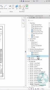 How to view multiple views in the same time in Revit!
