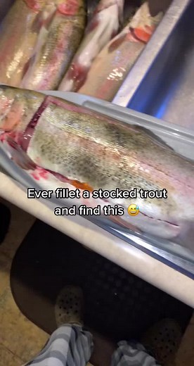 Filleting Stocked Trout: Tips for Success