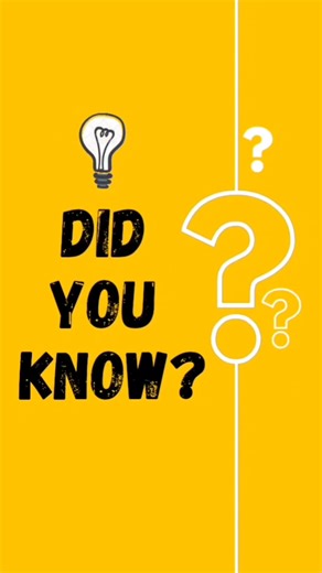 VECTORS vs MATRICES #matrices #vector #maths #mathematics