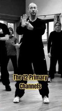 The 12 primary channels, also known as meridians, are pathways through which Qi flows...