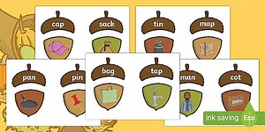 Phase 2 Autumn Build an Acorn CVC Activity