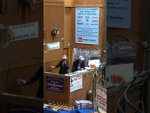 2022 Mule Day Auctioneer Champion, Joshua Houston (final round)