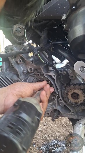 Kawasaki Fury 125: Timing Chain and Top Overhaul Tips