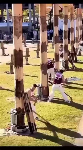 Discover the Magic of Smart Bots in Technology