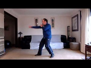 Fa Jin, explosive power - internal martial arts