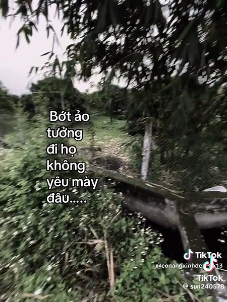 lúc đó thật sự tỉnh ngộ và nhận ra rằng , mình thật ảo tưởng vì tchowtj nhận ra mik cod tình cảm với cậu nhưng bên cạnh cậu là một cô nàng khắc rất xinh đẹp , học giỏi , đảm đan . tối chỉ dám đứng từ xa và tưởng tượng cậu cx thik tôi thôi . xl vì phiền thg qua .🖤#N đơn phương