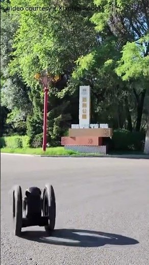 Incredible Wheel-Leg Hybrid Robot – Xiao Hei in Action