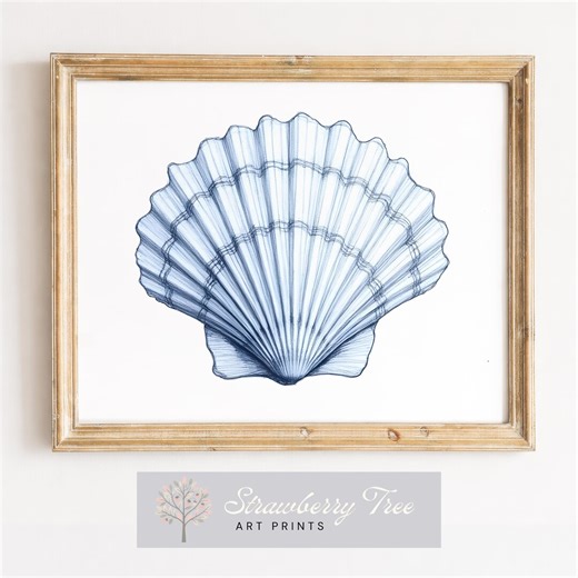 Printable Blue and White Seashell Sketch - Coastal Wall Art, Nautical Beach Decor, Minimalist Digital Download for Modern Farmhouse - Etsy