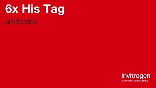 6x His Tag antibodies from Thermo Fisher Scientific