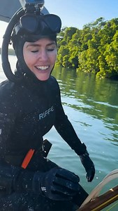 40K views · 10K reactions | Not the target species but I'll take it  the King Threadfin Salmon are know to live in filthy water and are an extremely rare fish to be caught on spear. I only know a couple of guys that have ever speared them. The feeling of coming around the corner and seeing one will be in the memory bank forever 﫶 #womenfishing #catchofalifetime #freediving #worldrecord #ilovemyjob | Erin McGinty | Facebook