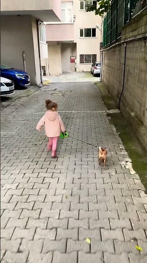 #baby #frendly #dog #funny