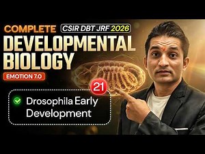 Drosophila Early Development | Developmental Biology | CSIR DBT JRF 2026 | IFAS