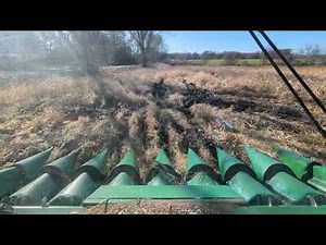 Final Push To Finish Up Corn Harvest 2025