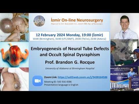 İON 420. Lecture, Rocque Neural Tube Defects: 12.02.2024