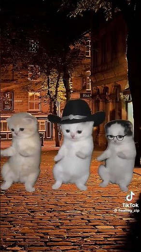 gatitos bailando LA CALABAZA