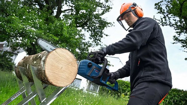 New Cutting Chain Takes on Perforated Ironwood – Watch the Results