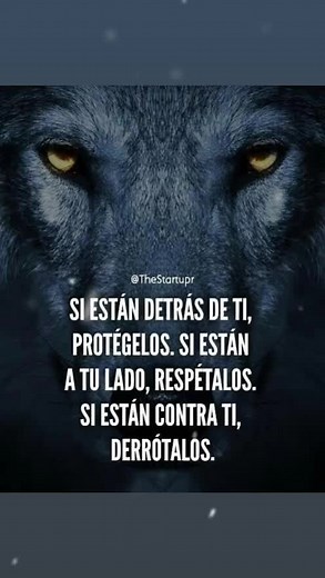 Close-Up of Majestic Wolf's Face at Night