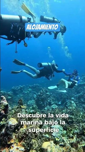 Hotel Isla Palma Accommodation - Cartagena de Indias 🇨🇴