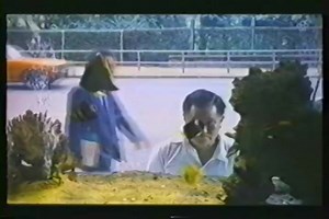 The Island (An 1985 Hong Kong Movie from Rainbow Audio and Video Incorporated)