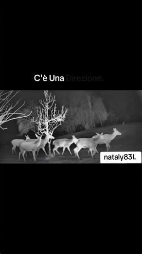 Micro Reset di 12 Secondi per Ritrovare Direzione | Calma Mentale