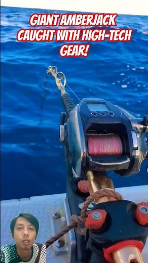 Incredible Catch: Giant Amberjack in the Deep Blue Sea! #amberjack #fishing