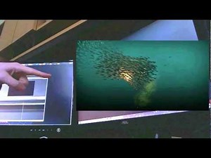 Leap Motion - Flocking Demo