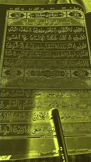 ✨Surah Al-Alaq (سورۃالعلق)#egzonibrahimi #islamicstatus #quranrecitation #quran #surahalaq #ytshorts