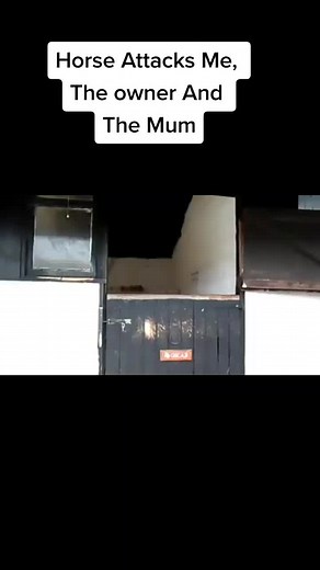 #horse #horseworld #horsetherapy #horsemounting #horseloading #horselove #kickinghorse #bittinghorses #horsey #kidsoftiktok #horseontiktok #horsrtiktok #horsetrainingtips #horsetraining #equestrian #horsebites #horseman #horsepower #horsesofinstagram #horseandrider