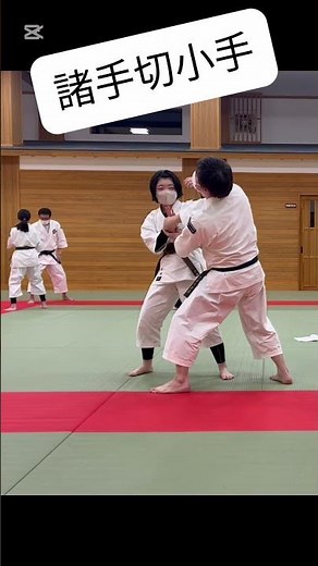 ③#少林寺拳法 #初段 #組演武 #諸手切小手