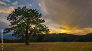 Pine Tree in the plains of wyoming Sunset with mountain ranges in the distance Time Lapse, Timelapse, Time-Lapse, 4K