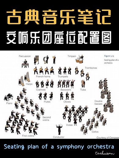 Symphony Orchestra Seating Plan🎼一图看懂交响乐团的乐器分布！你认识几种乐器呢？🎹🎷🎺🎸🎻🪉🥁🪇【古典音乐笔记】📌交响乐团座位配置图