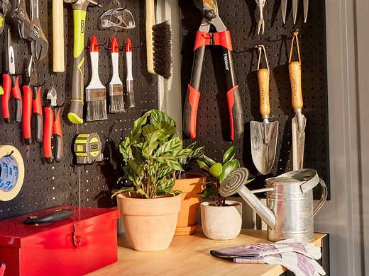 The essentials for a basic tool kit