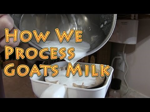 How To Process Goats Milk